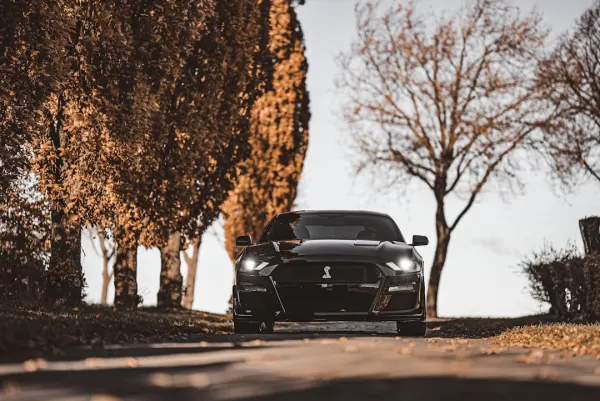 SuperNopea Casino Aplicación Android/iOS